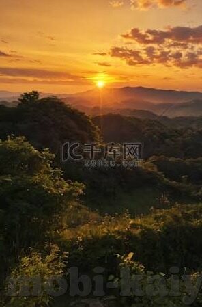 le乐鱼 体育 im体育-重塑体育观赏的新篇章——le乐鱼与IM体育的交汇点