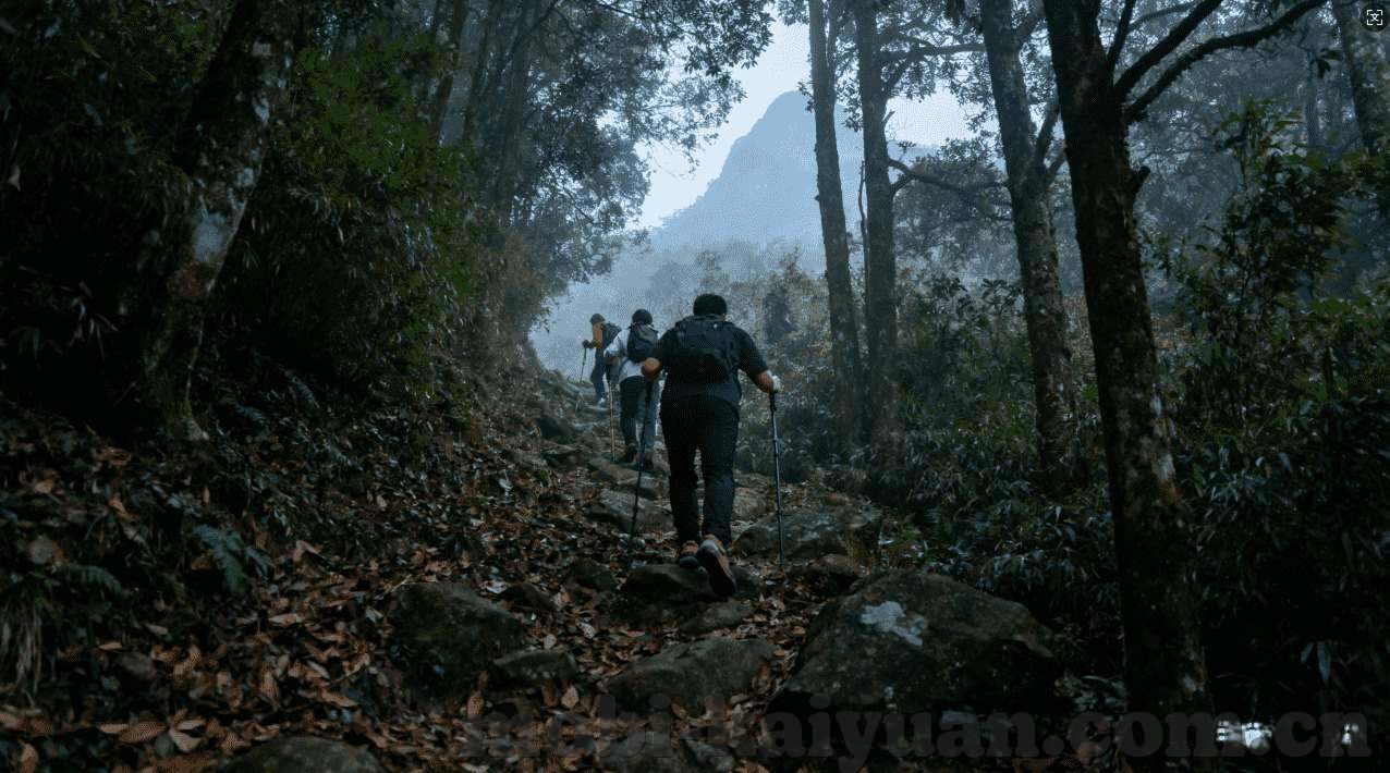世界杯彩票哪里有卖-世界杯彩票购买指南，何处寻觅合法销售点