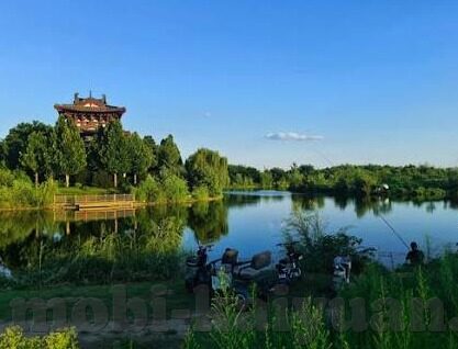 下载斗破九州超级版手游-斗破九州超级版手游,畅游奇幻世界的华丽冒险