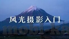 周日足球竞彩比分-周日足球竞彩风云，比分背后的战术博弈与惊喜瞬间